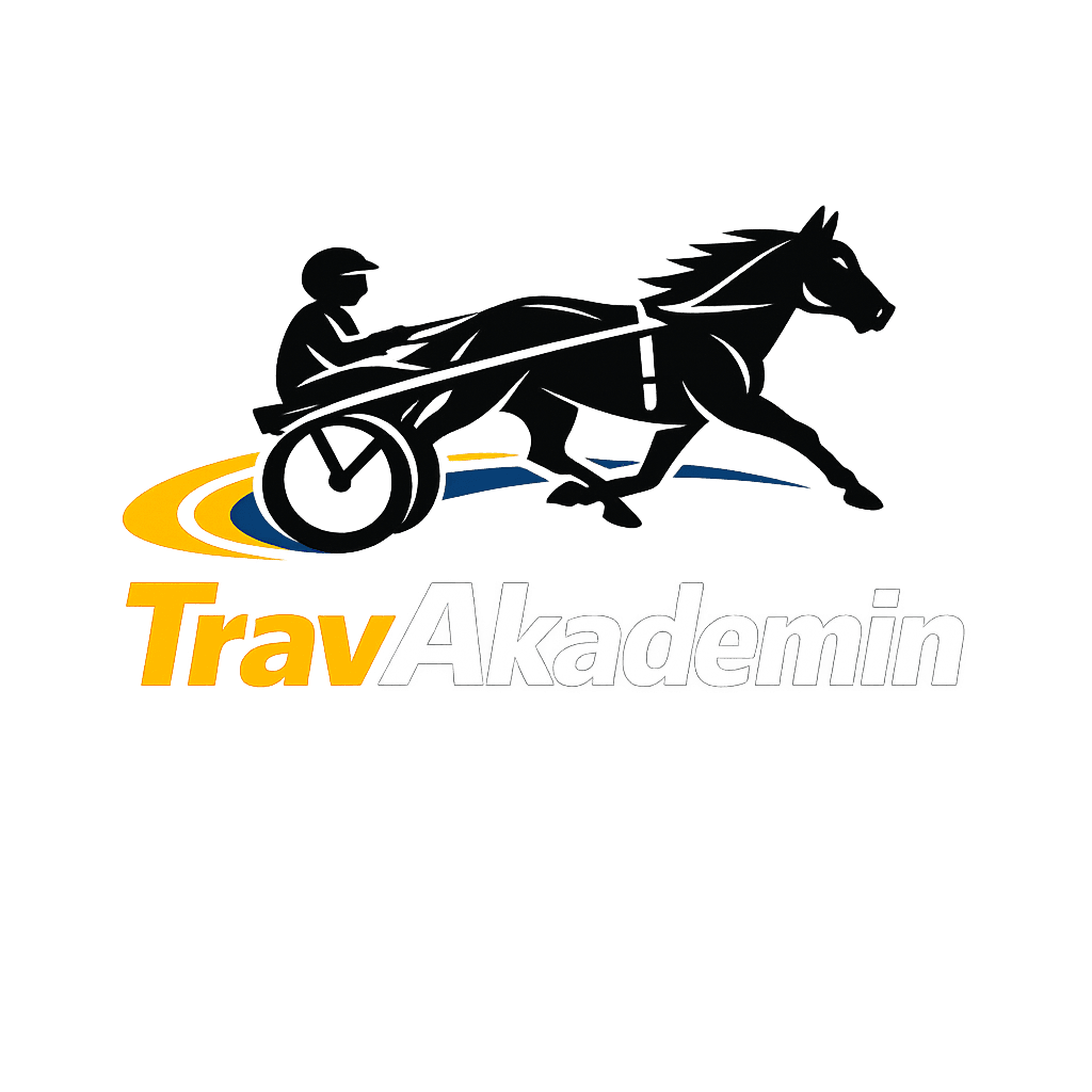 TravCommunity Logo